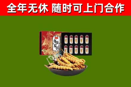 甘孜回收冬虫夏草价格